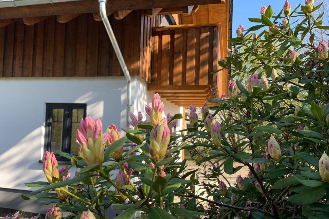 Ferienhaus Sauerland